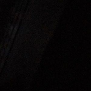 Meet your Posher, Tess